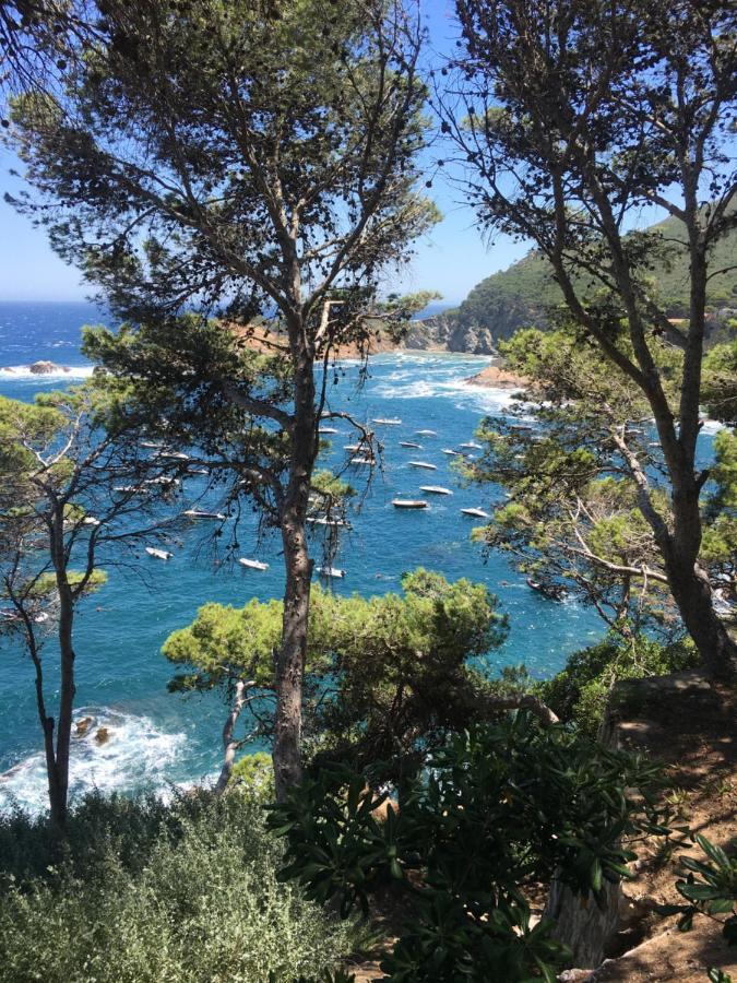 Cap Sa Sal Navy, Begur, Girona Apartment Ngoại thất bức ảnh