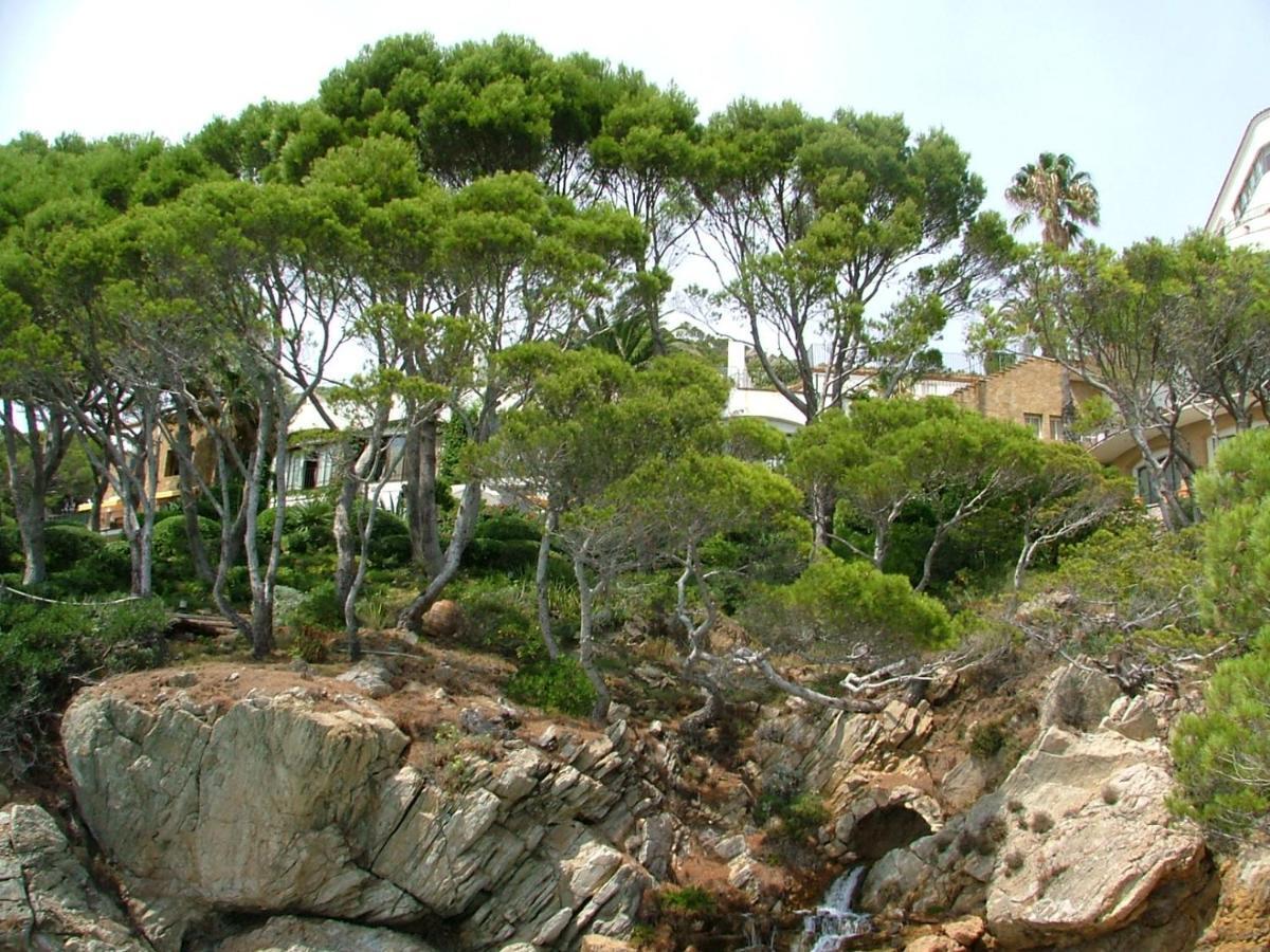 Cap Sa Sal Navy, Begur, Girona Apartment Ngoại thất bức ảnh
